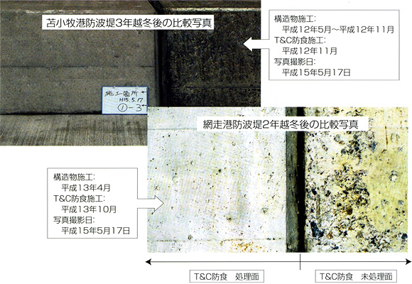 屋外暴露試験比較写真